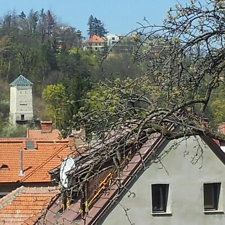 Apartament Wilhelmine *